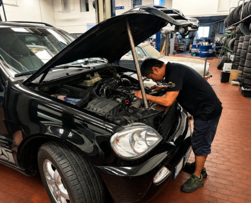 MGM SERVICE